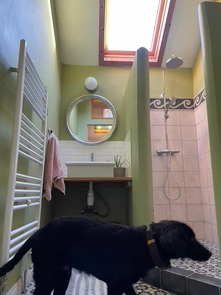 La Bruyere Du Coq Stables Guest House Sart-Dames-Avelines Екстериор снимка