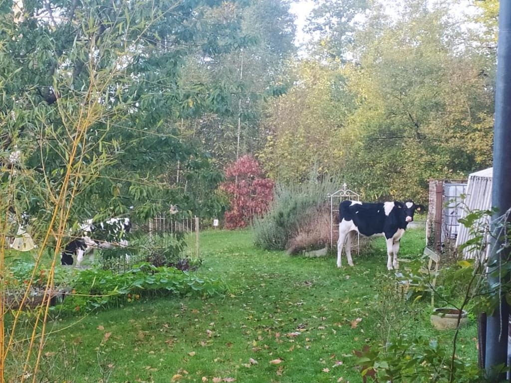 La Bruyere Du Coq Stables Guest House Sart-Dames-Avelines Екстериор снимка